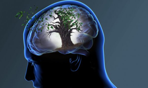 Alzheimer'a yakalanan hasta sayısı 30 yıl içinde 3 katına çıkacak