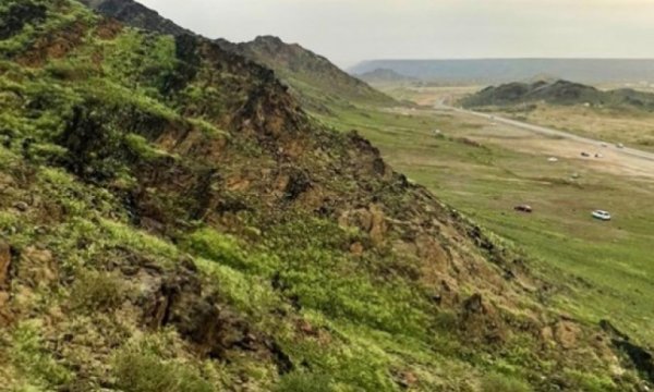 Mekke'de dağlar ve ovalar yemyeşil oldu