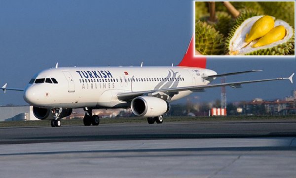 "Durian" meyvesi nedeniyle THY uçağı İstanbul'a acil iniş yaptı