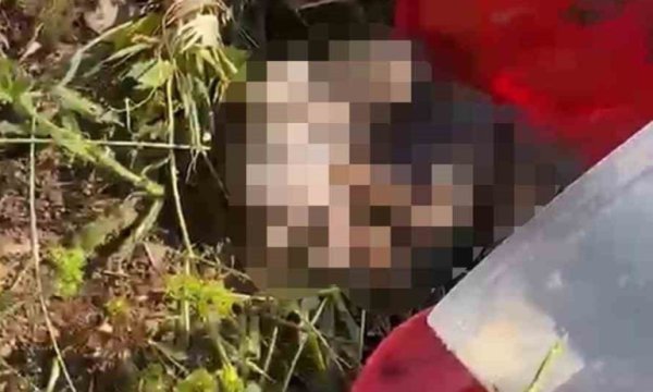 Şanlıurfa'da korkunç manzara: Mezarlıkta 21 cenin bulundu