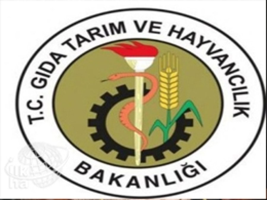 Bakanlıktan Peynirde İçyağı Açıklaması