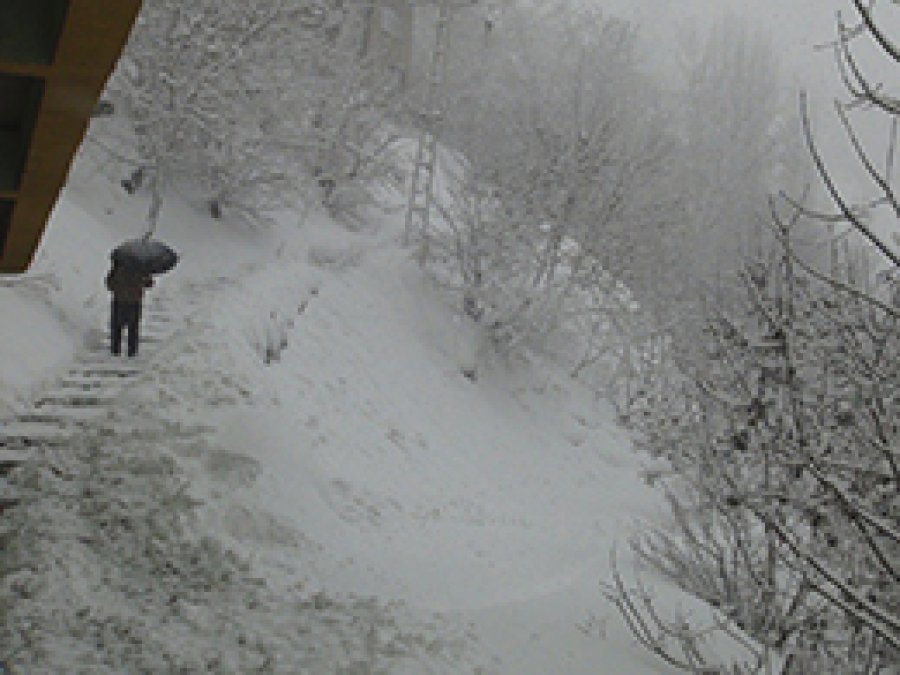 Bitlis'te Kar Yağışı Yeniden Etkili Oldu