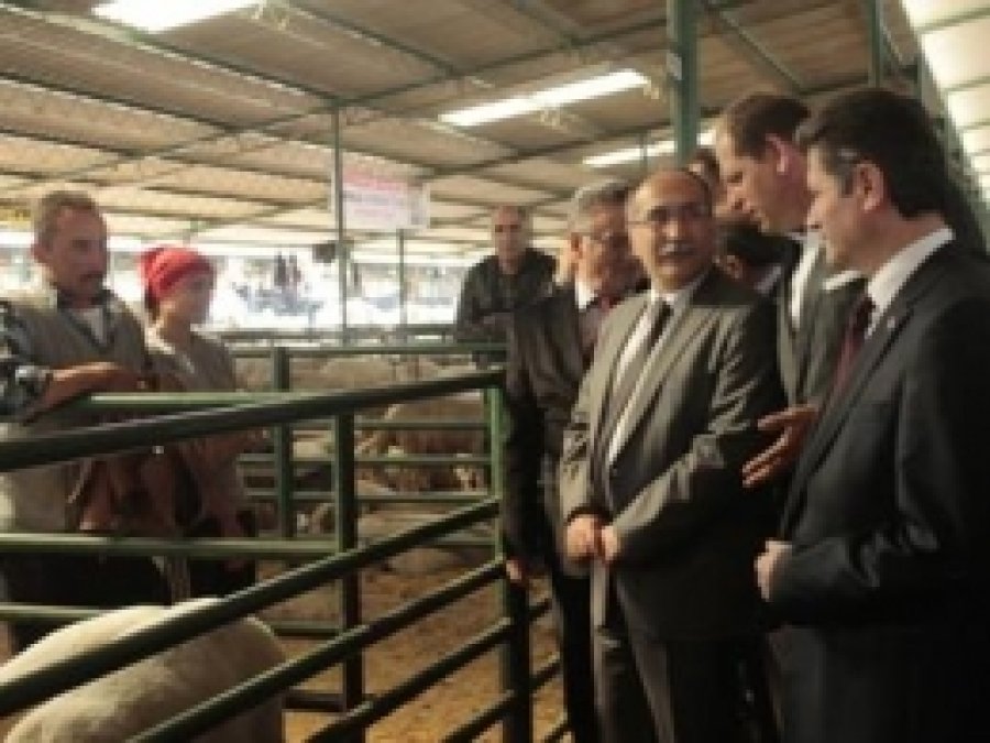 Manisa Hayvan Borsasında Durgunluk Hâkim