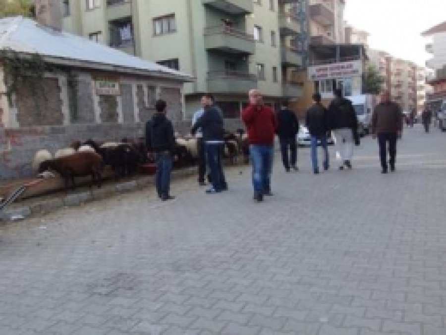 Belediye Neden Müdahale Etmiyor?
