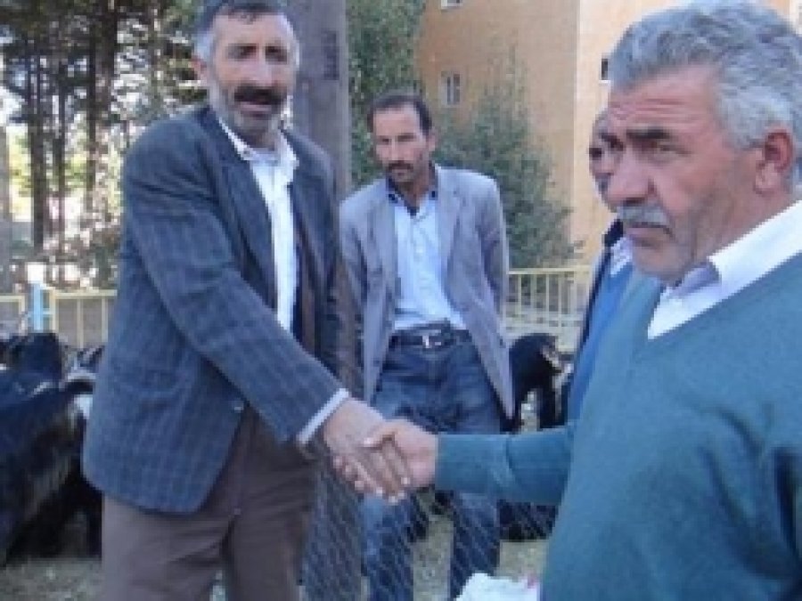 Kurban Satıcıları da Alıcıları da Fiyatlardan Memnun