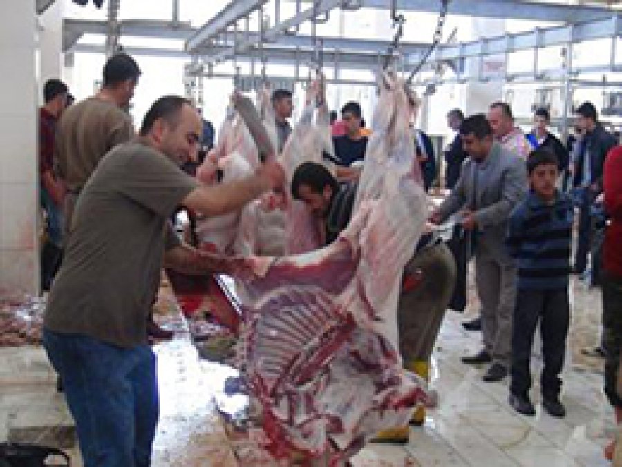 Mezbahaneler Tekbir ve Salâvatlarla İnledi