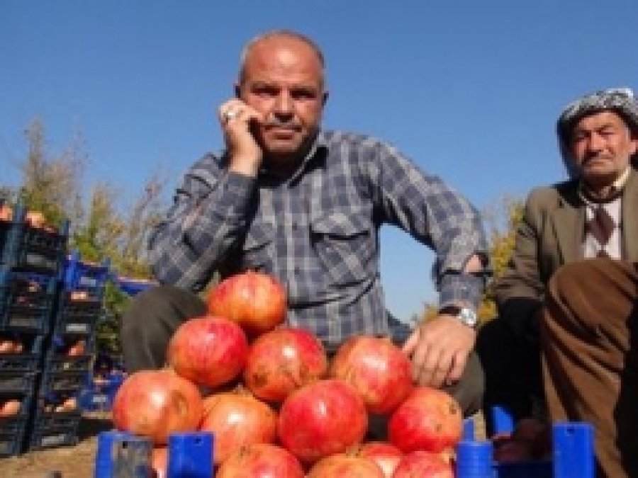 "Nar İçin Dış Pazar Bulunmalı"