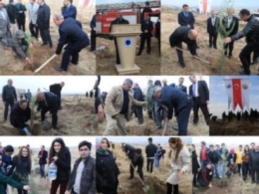 Üniversite Öğrencileri Eşzamanlı Fidan Dikti 
