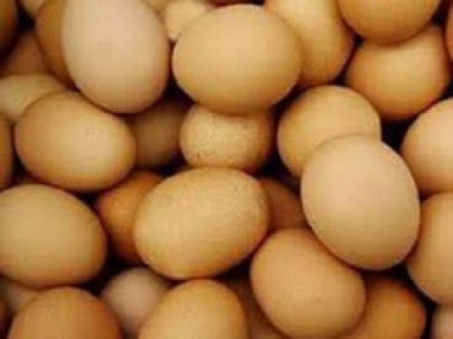 Yumurta Üretimi Yüzde 11 Oranında Arttı