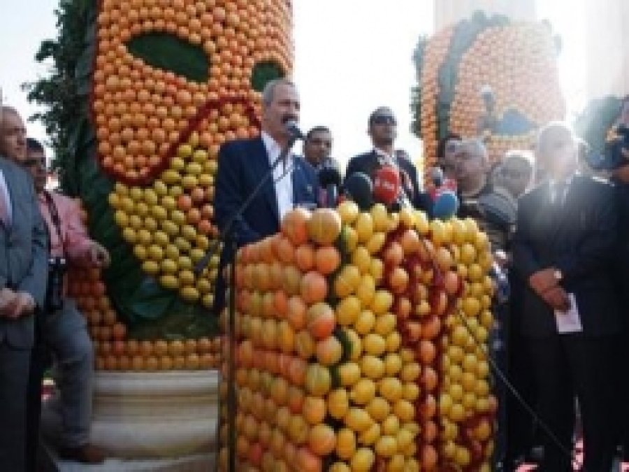 Mersin 4. Narenciye Festivali Sona Erdi 