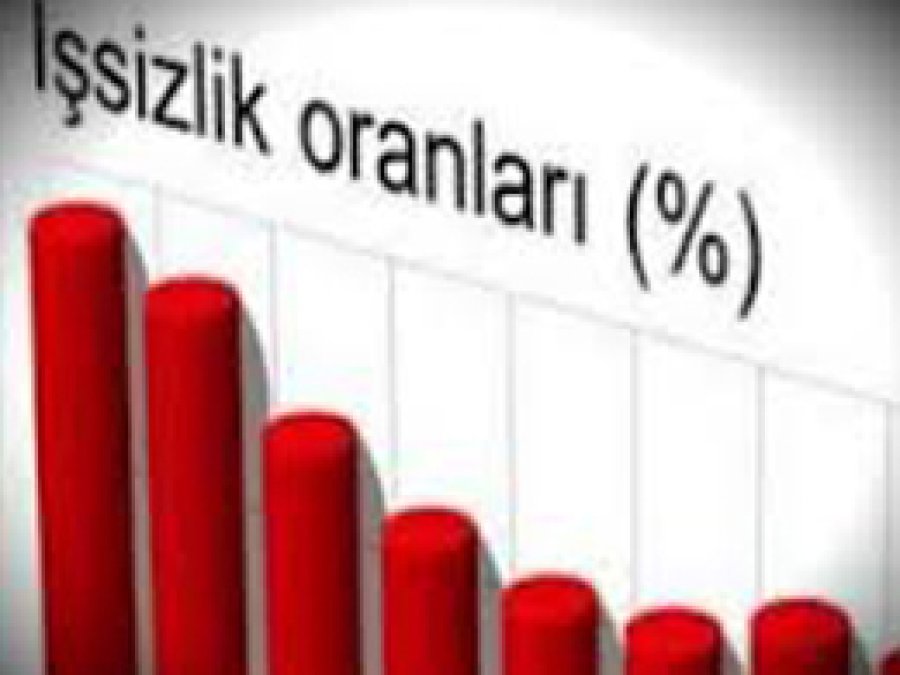 Şırnak İşsizlik Oranının En Yüksek Olduğu İl
