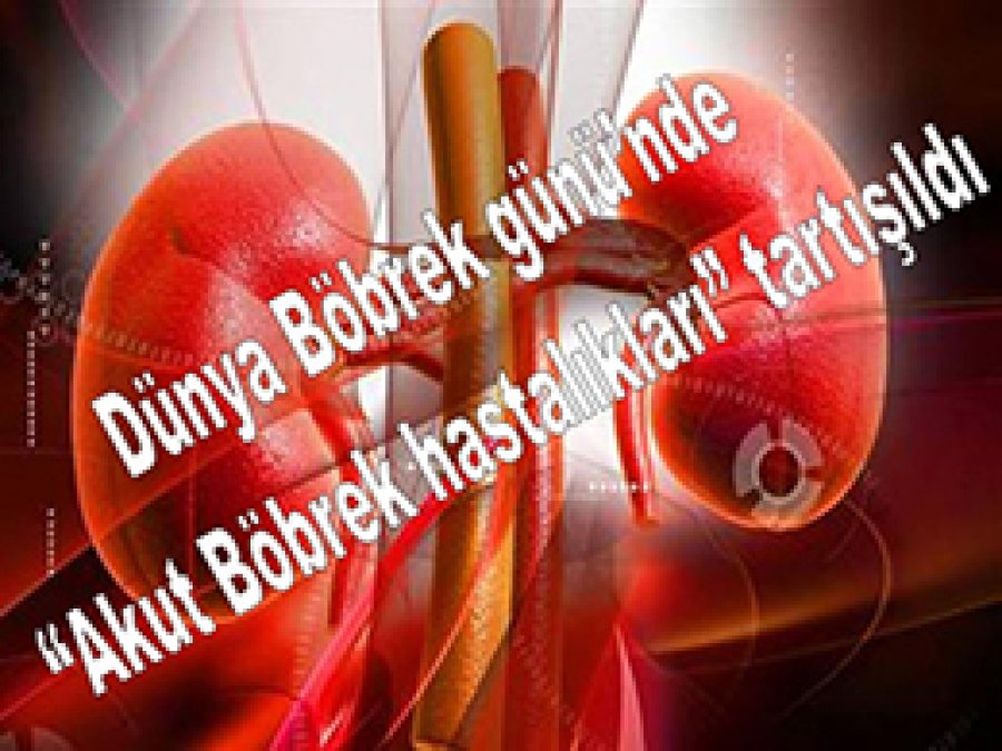 Dünya Böbrek Günü'nde 'Akut Böbrek Hastalıkları' Tartışıldı