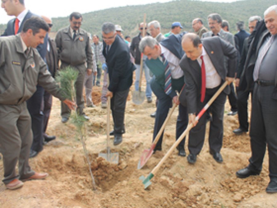 Çöp Alanı Yeşil Alana Çevriliyor