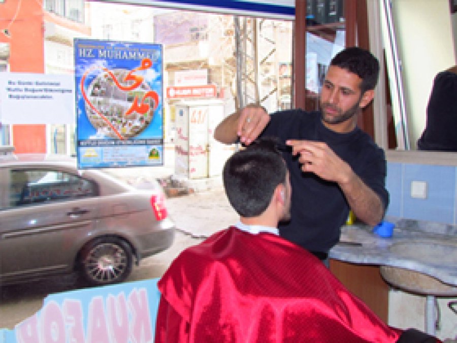 Siverekli Berberin Örnek Davranışı
