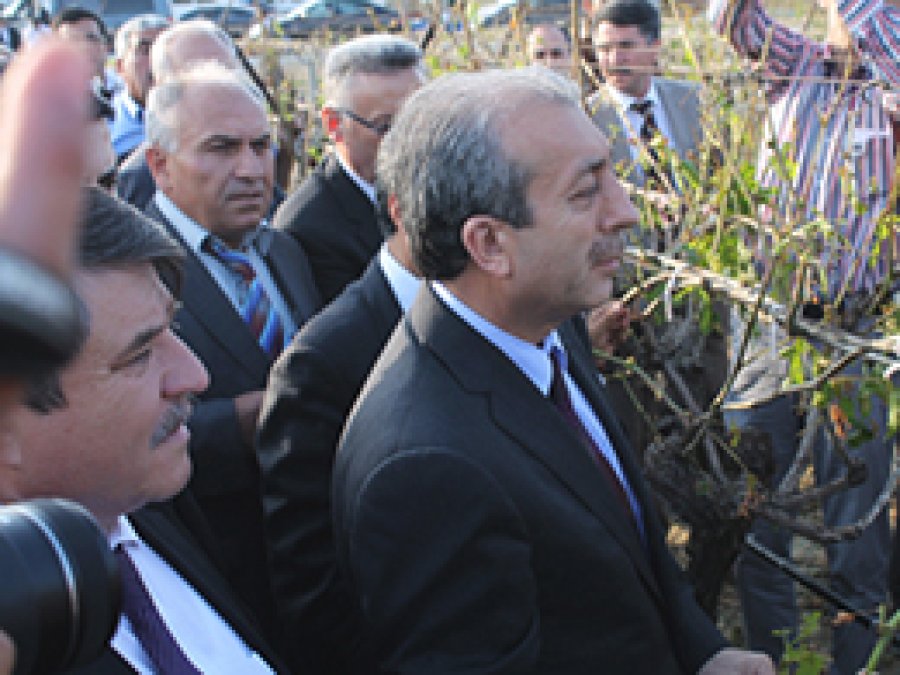 Dolu Vuran Bağlara İnceleme