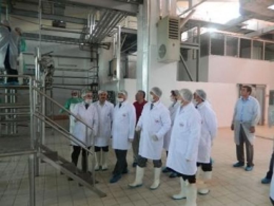 Bingöl Et ve Balık Kombinası Yeniden Faaliyette