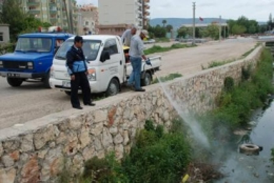Silifke'de Sineklerle Mücadele Sürüyor