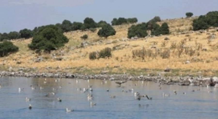 Van Erçek Gölü'nde Avlanmak Yasak