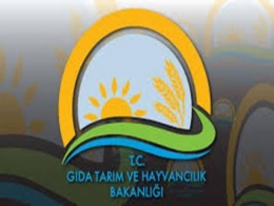 Gıda Etiketleme Yönetmeliğinde Değişiklik