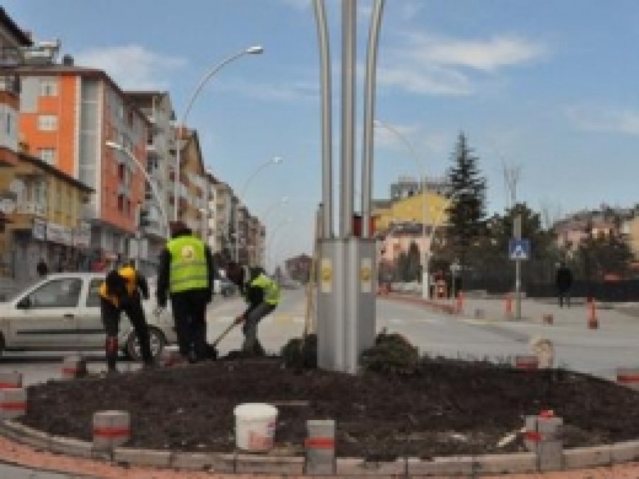 Seydişehir Meilland Gülleriyle Donatılıyor