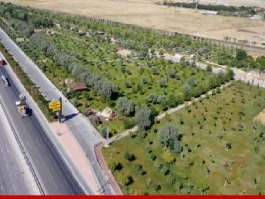 Konya'da 10 Yılda 13 Milyon 90 Bin Fidan Dikildi