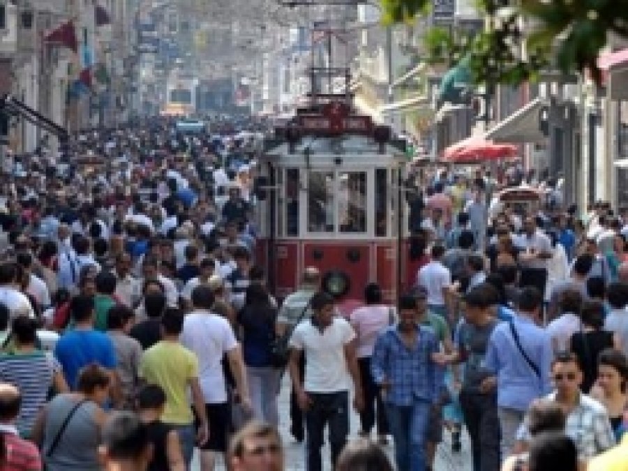 İstanbul'da Kaç Vanlı Yaşıyor?