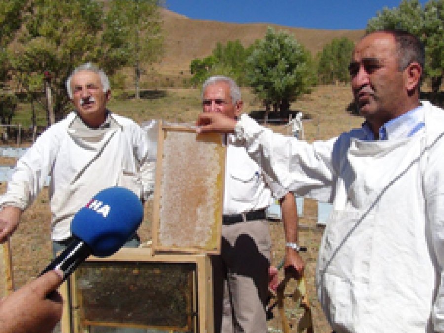 Bingöllü Arıcılar: Sahte Bala Dikkat 