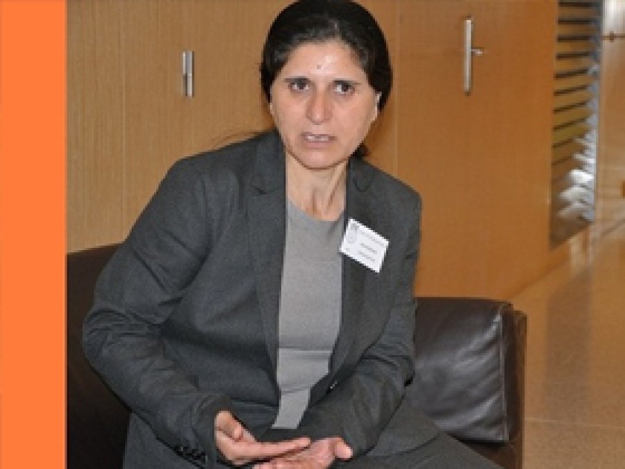 PYD, Peşmergenin Gelmesinden Rahatsız
