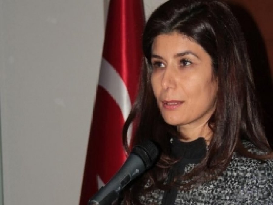 Erzurum'da İklim Değişikliği Konferansı