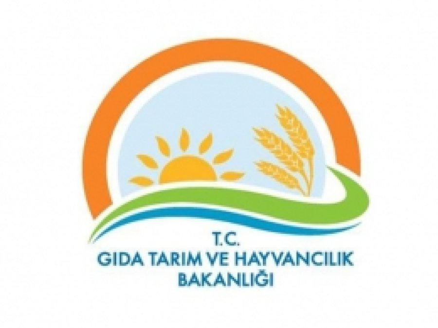 Türkiye Aspir Üretiminde Rekora Koşuyor