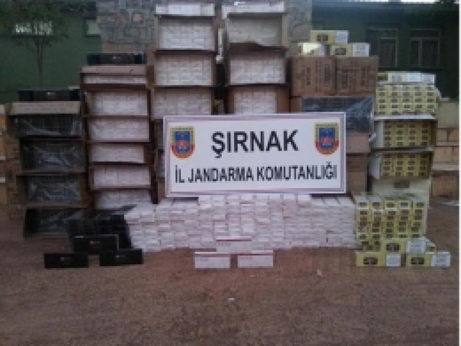Şırnak'ta Bir Milyon 377 Bin Paket Kaçak Sigara Ele Geçirildi