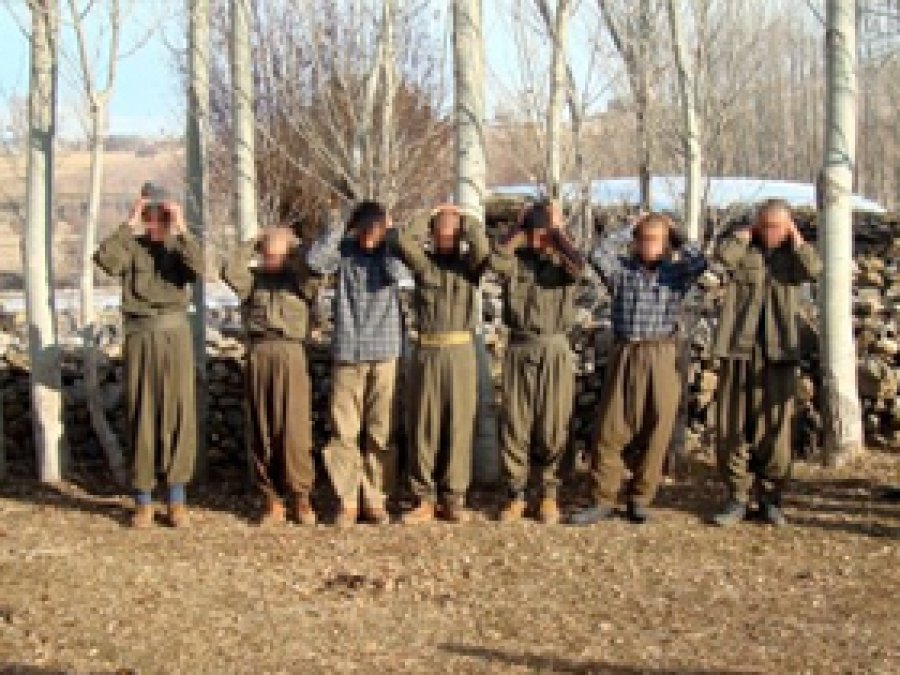 Şırnak'ta 11 PKK'li teslim oldu