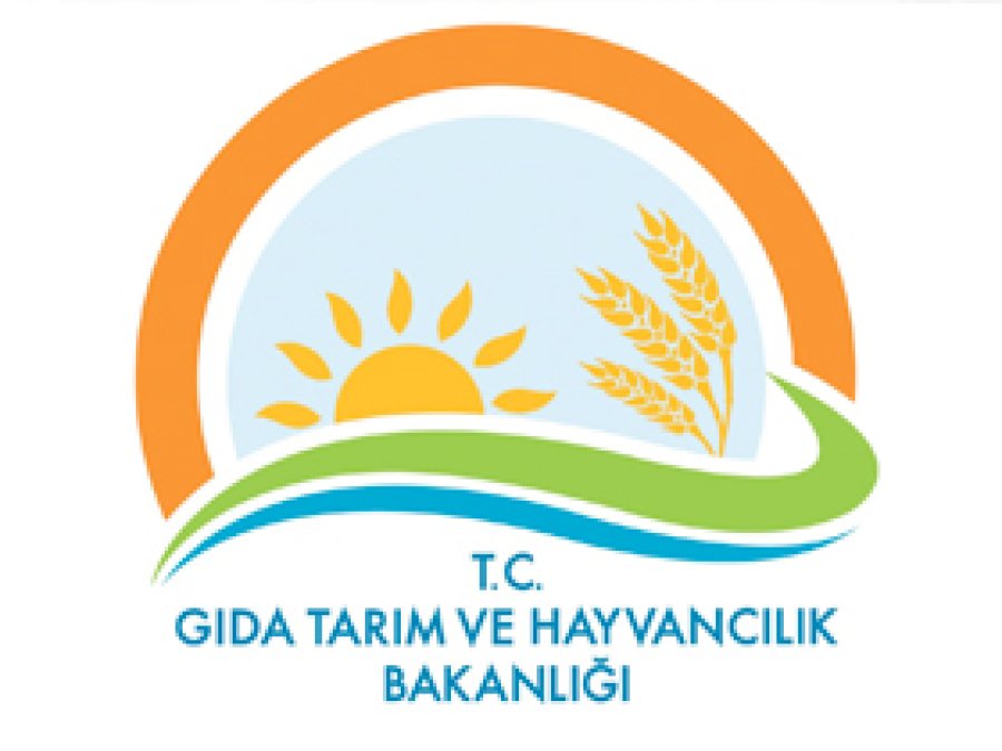 'Domuz sayısının arttığı iddiası asılsızdır'