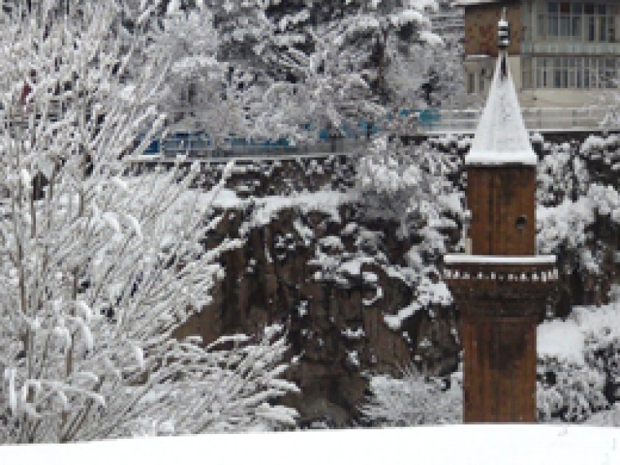 Bitlis'te 216 köy yolu ulaşıma kapandı