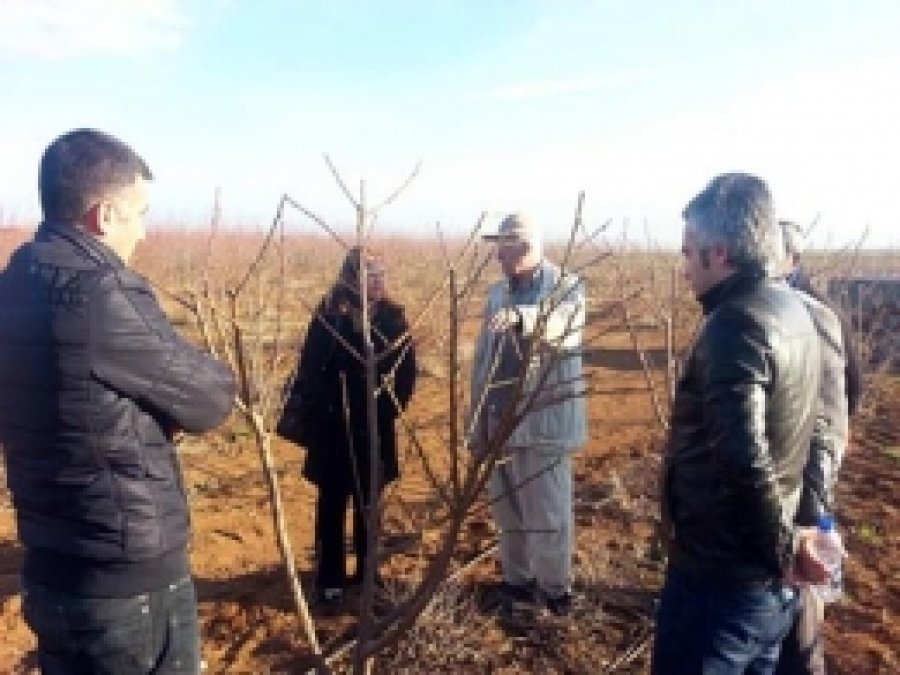 Çiftçilere Uygulamalı Budama Teknikleri Eğitimi
