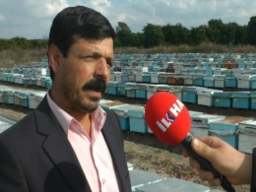İlaçlamalardan Yaşanan Arı Ölümlerinin Önüne Geçilsin!