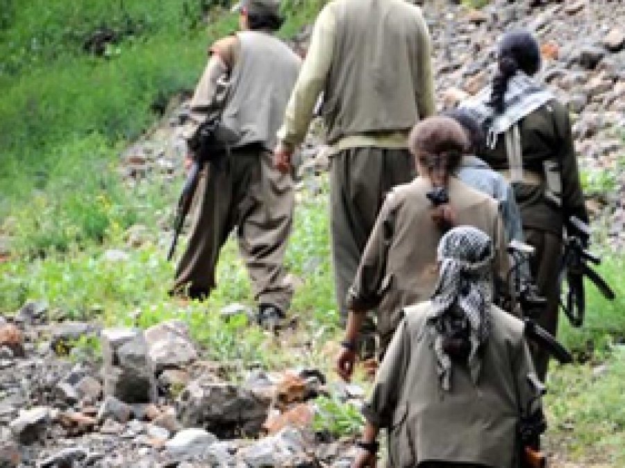 Nusaybin'de 2 PKK'li Teslim Oldu