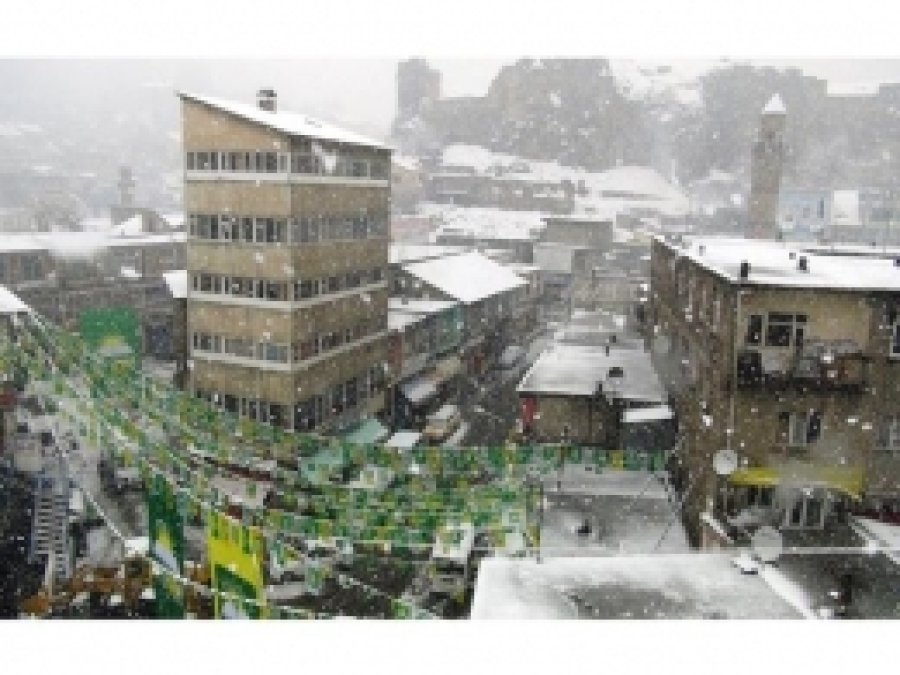 Bitlis'te Kar Yağışı Yeniden Etkili Oldu