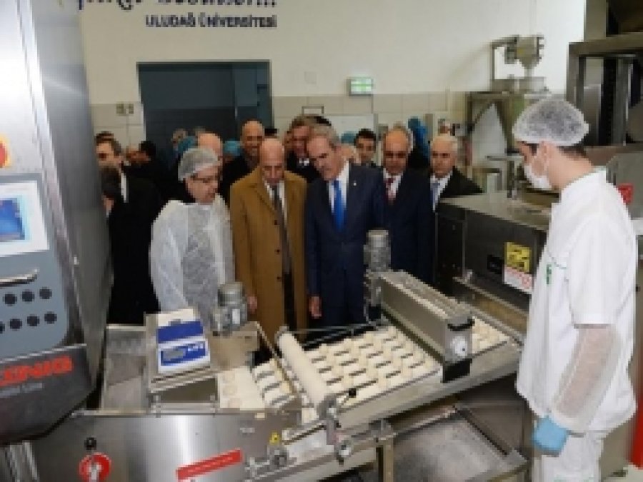 Ekmek'te Bilimsel Üretim Dönemi