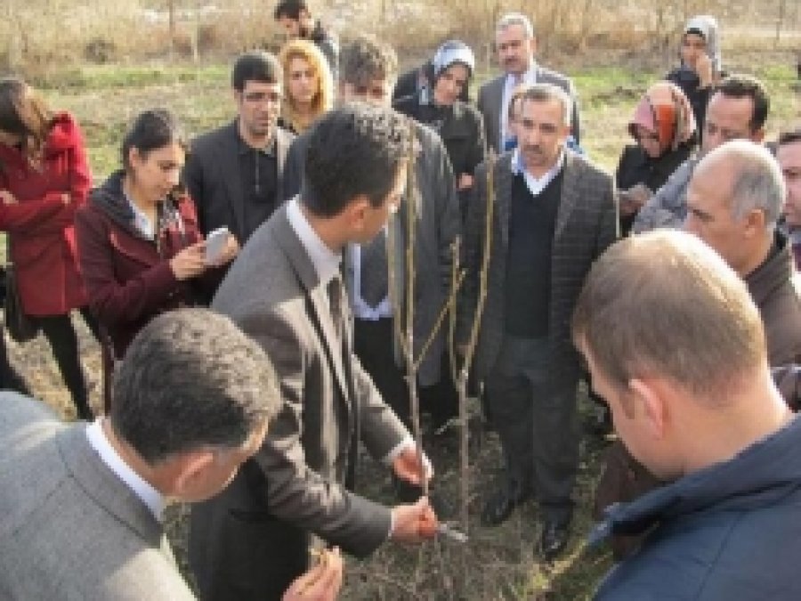  Bingöl'de 'Meyve Ağacı Budama Eğitimi' Verildi 