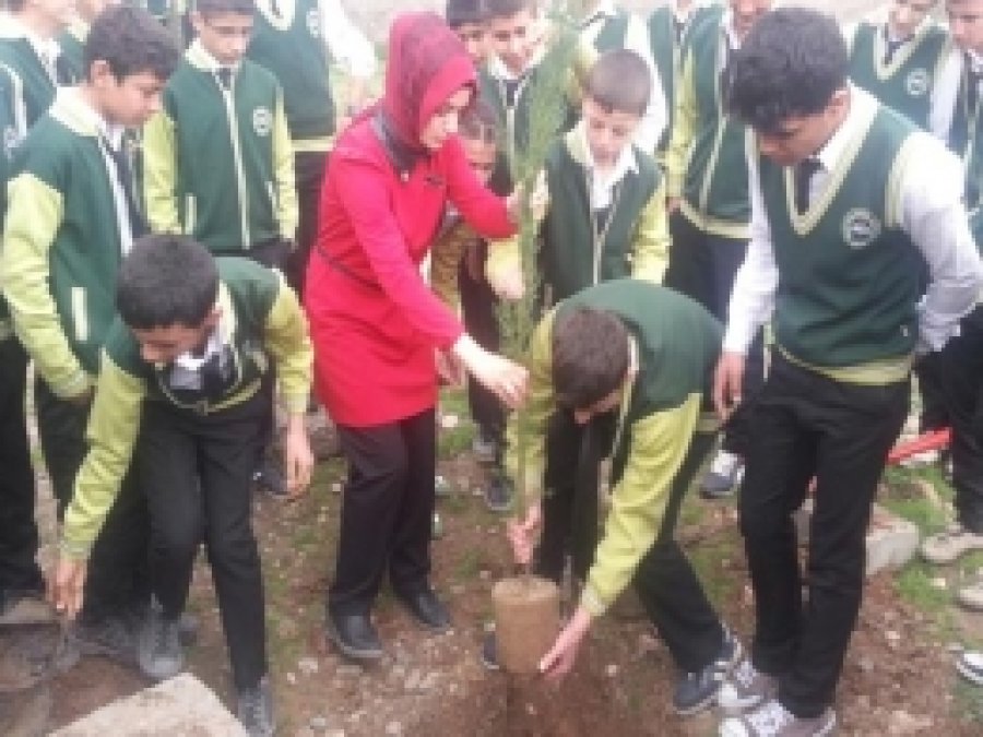 Silopi'de Okul Harçlıkları İle Fidan Diktiler