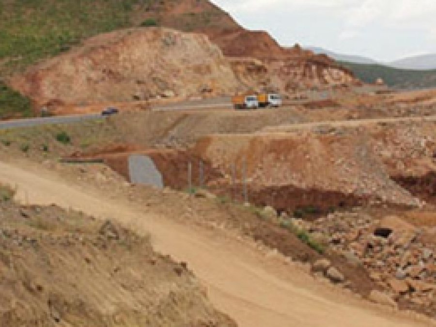 Bingöl'de Ağaç Katliamı Iddiası