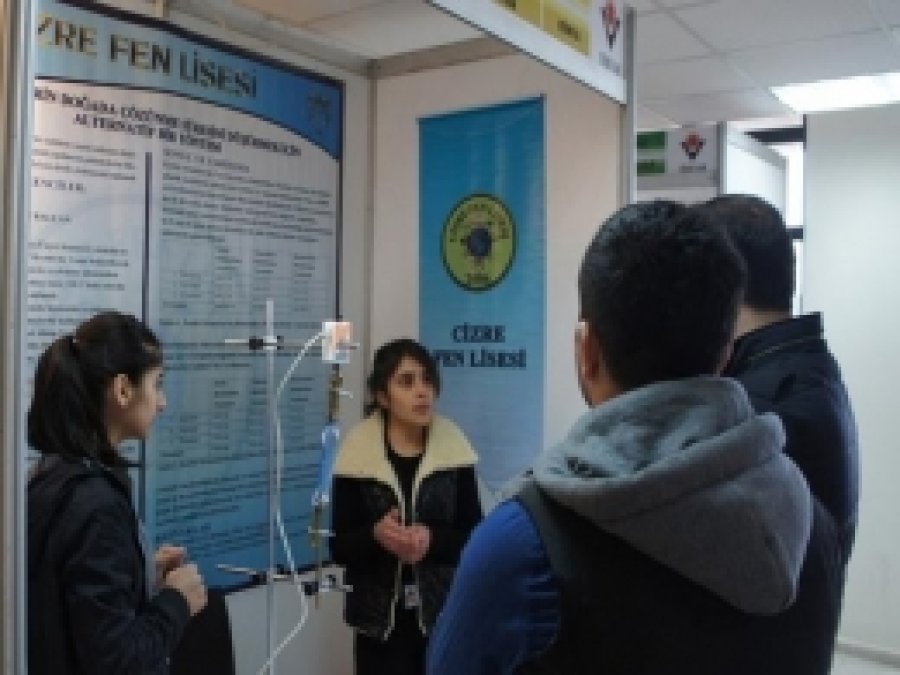 Cizre Fen Lisesi Bölge Birincisi Oldu 