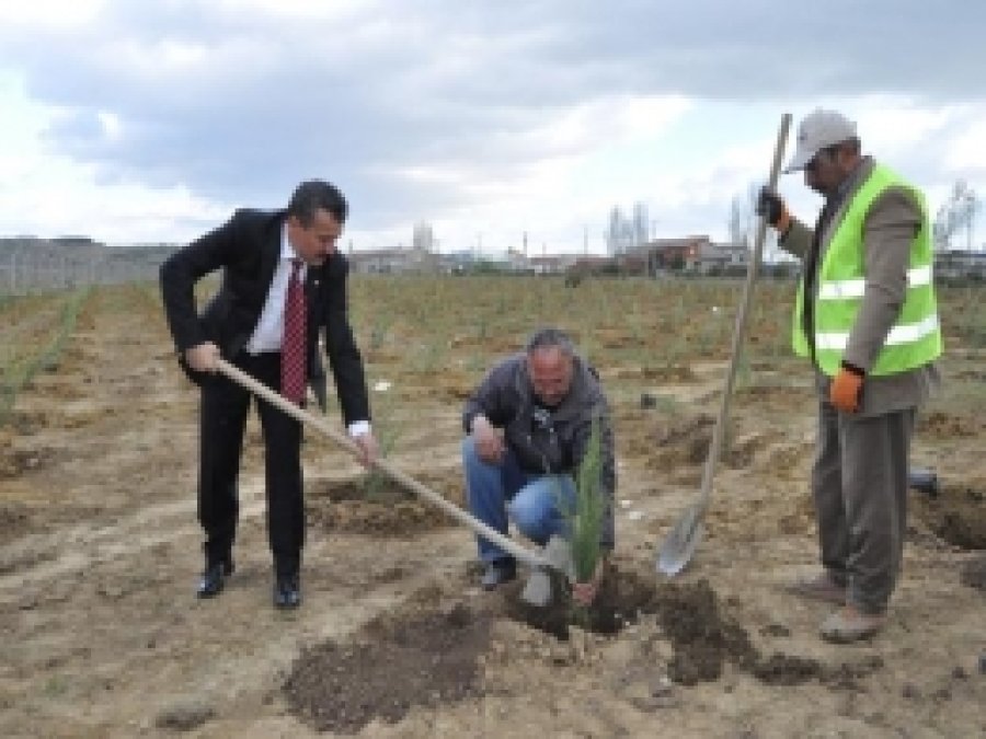 Seydişehir'de Ağaçlandırma Seferberliği Projesi