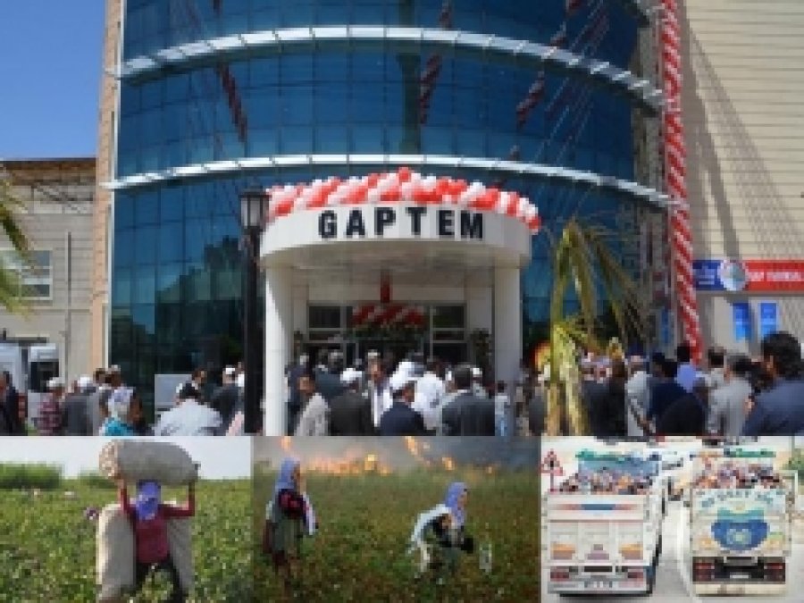 Mevsimlik Tarım İşçileri Yine Unutuldu