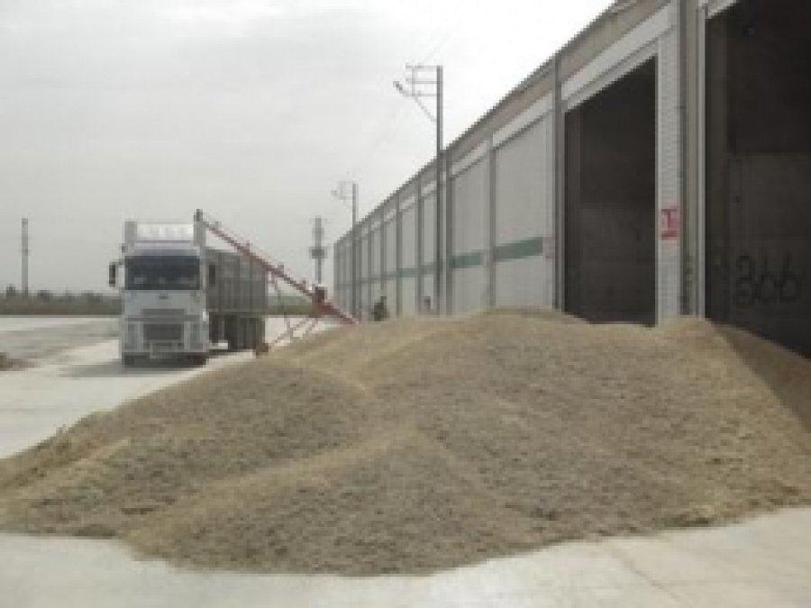 Kızıltepe'de Yılın İlk Arpa Hasadı Yapıldı 