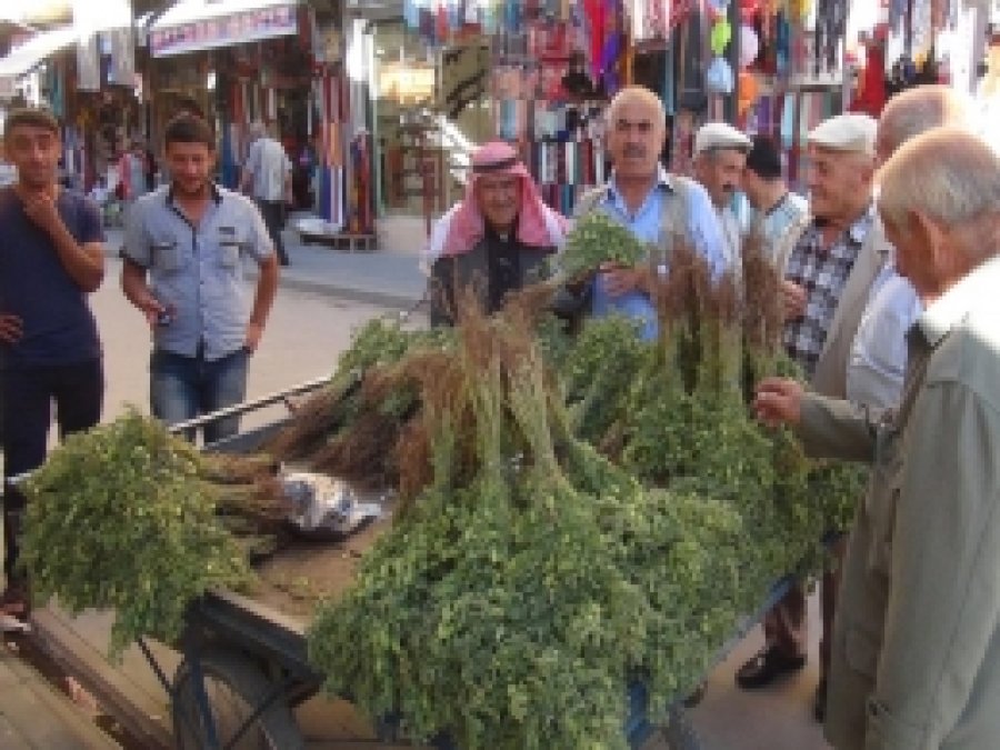 Kızıltepe'de Yeşil Nohut Tezgâhlarda Yerini Aldı
