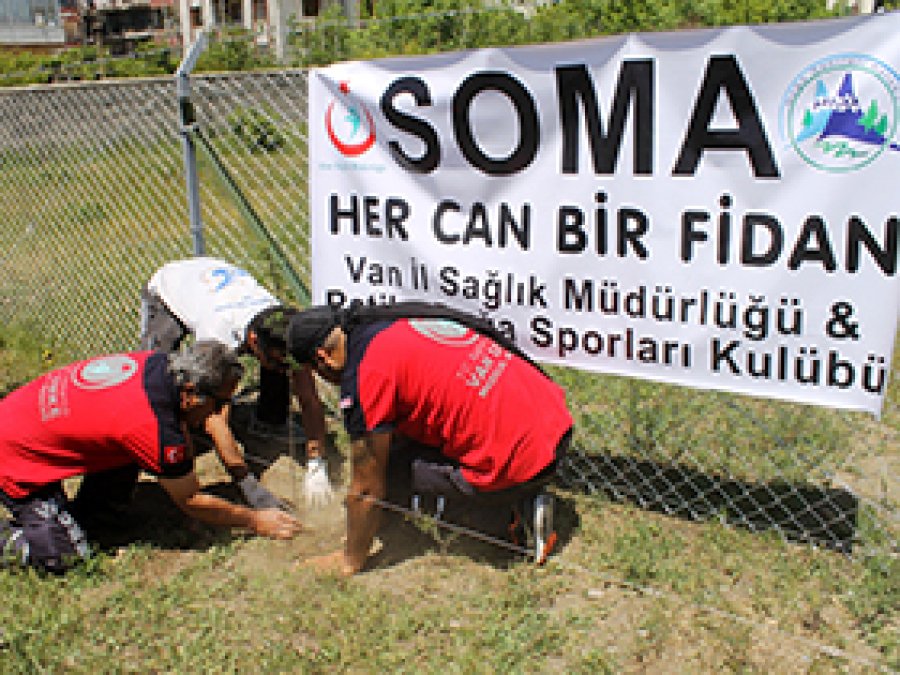 Soma İçin Fidan Dikildi