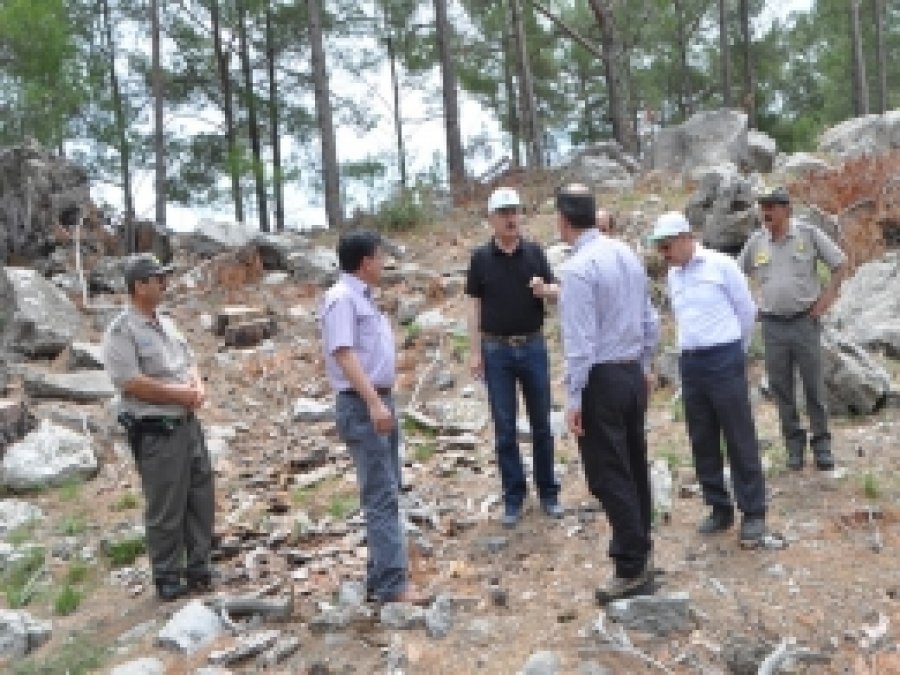 Orman İşletme Müdürlüklerinde Teftişler Devam Ediyor