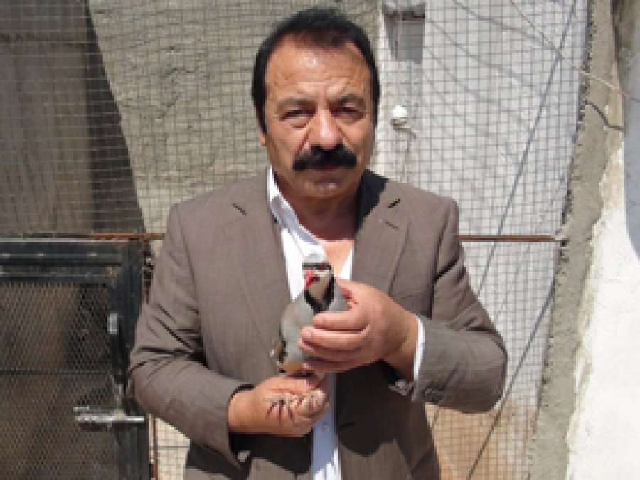 Beslediği Keklikler Şifaya Vesile Oldu